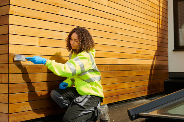 Best Fascia and Soffit Installation  in Nicholson, GA