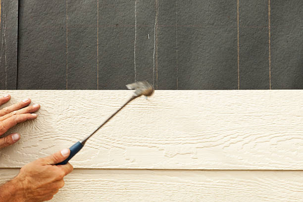 Best Fiber Cement Siding Installation  in Nicholson, GA